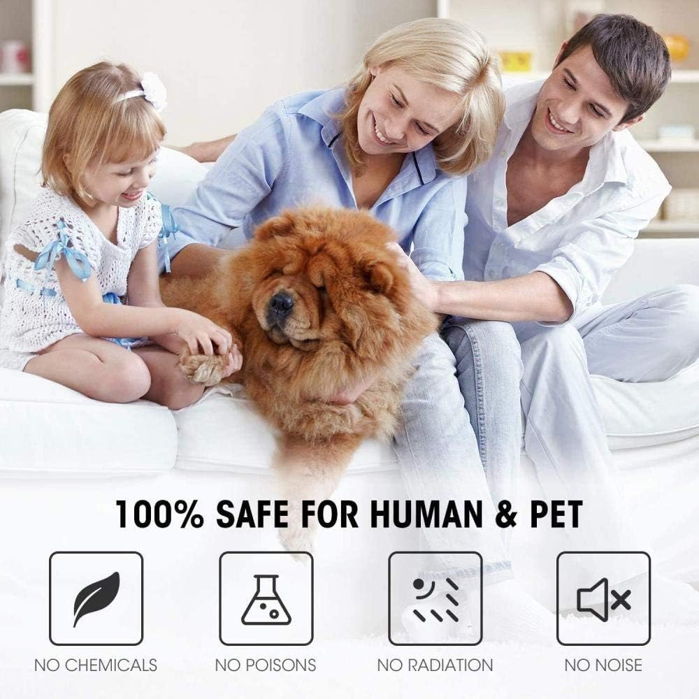 Ultrasonic Pest Repeller 6 Pack, Pest Repellent Plug in Indoor Pest Control for Mosquito, Insects, Cockroaches, Mouse, Rats, Bug, Spider, Ant, Rodent, Human & Pet Safe : Garden & Outdoor