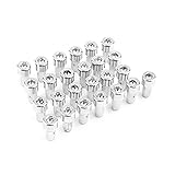 RTrhinoTuning 100pcs Wheel Rim Lip Rivets Nuts of