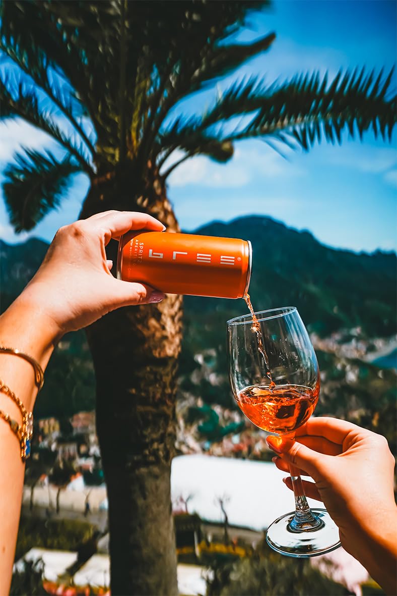 Bree Spritz Aperitivo (12 x 0,2l) – erfrischender Aperitif mit bittersüßer Note und fruchtiger Orange, idealer Party-Drink für unterwegs – eiskalt aus der Dose genießen 2