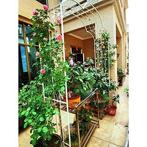 SXNYC Rosenbogen, Rankhilfe, Gartenbogen, Rosenbogen Rankhilfe, Rosenbogen mit tür, für Pflanzen zur Unterstützung von… – Bild 5