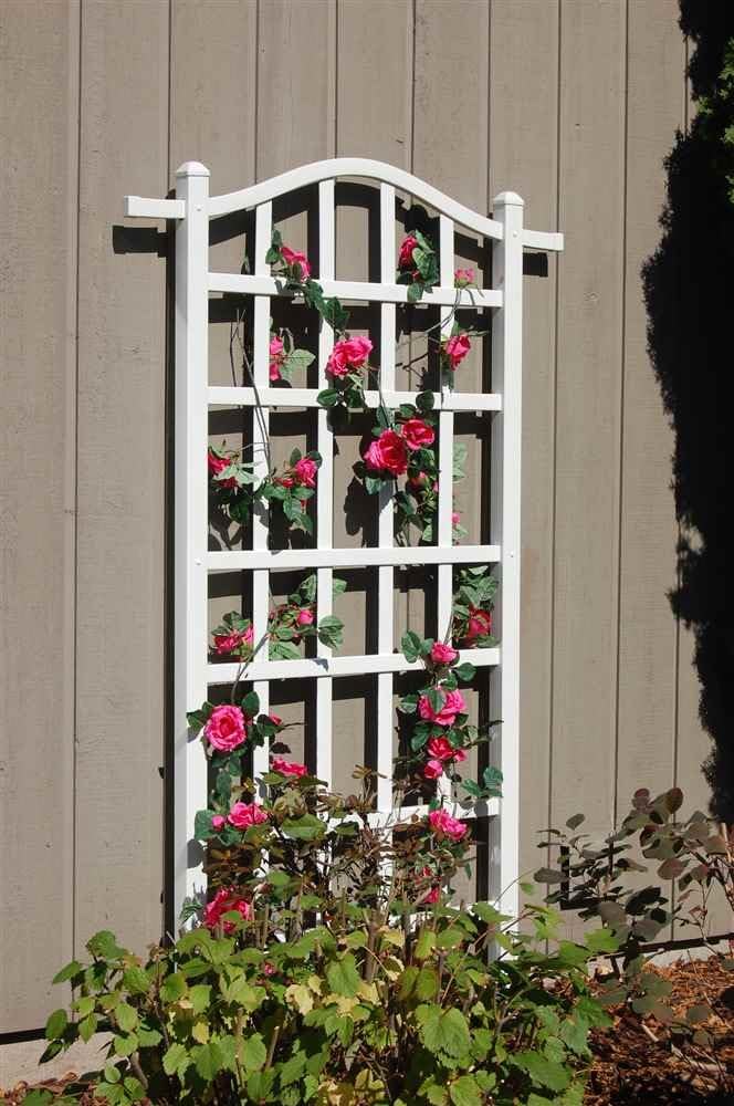 Best Garden Trellis White