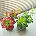 Supla 2Pcs Real Looking Faux Succulents Plants Soft Plastic Aeonium Succulents Cascading Pick in Burgundy and Green,11.75