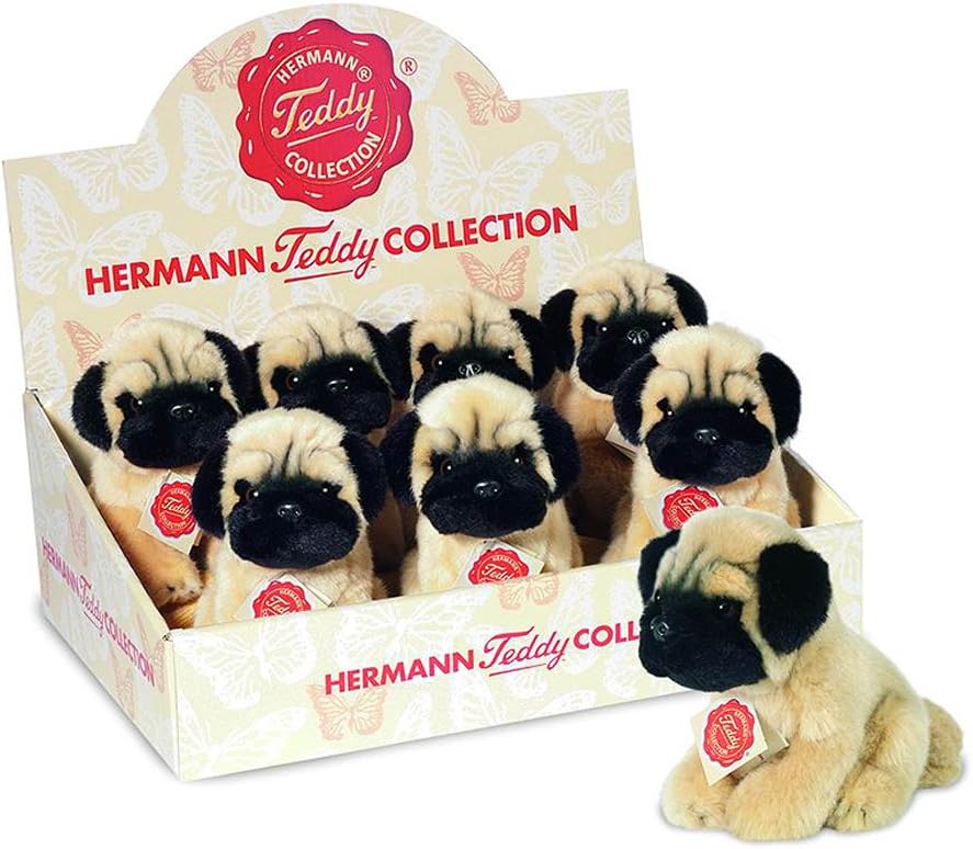 pug teddy
