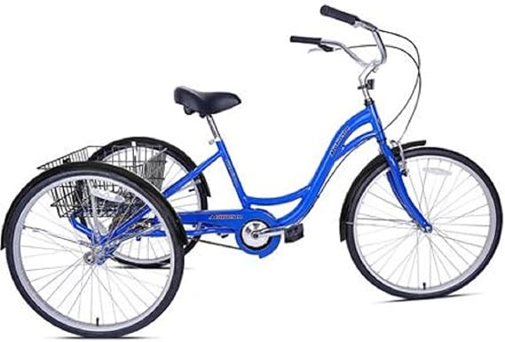 costo de un triciclo de carga