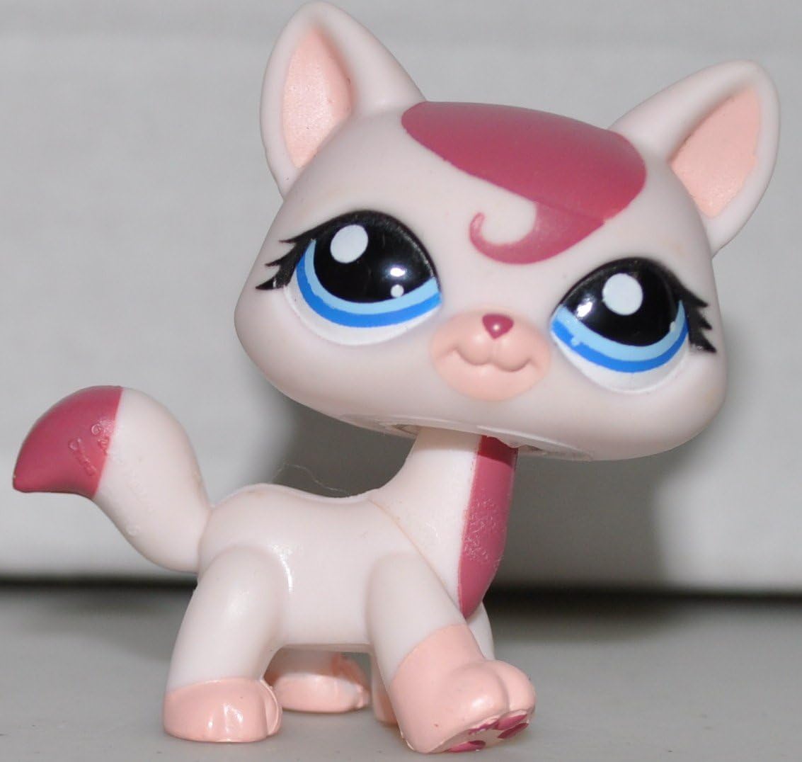 lps kittens amazon