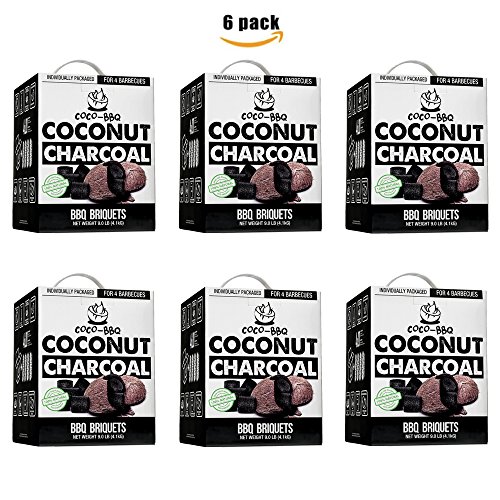 COCOBBQ EcoFriendly Barbecue Charcoal Made from Coconut Shells for