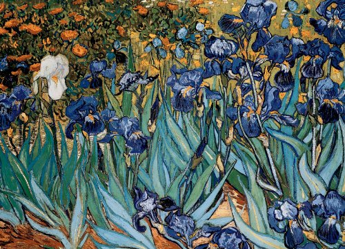 EuroGraphics Irises by Vincent Van Gogh Puzzle (1000-Piece)