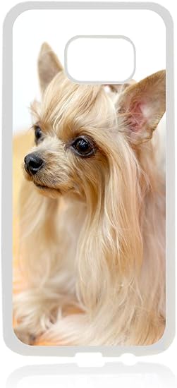 Amazon Com Long Haired Blond Chihuahua Dog Design White Rubber