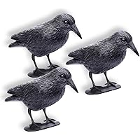 Amazon.de Bestseller: Die beliebtesten Artikel in Vogelabwehr