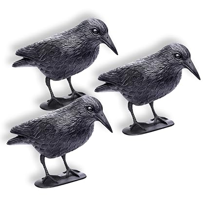 Schramm® 3 Stück Sitzende Krähen schwarz Taubenschreck Vogelschreck Kunststoff Rabe Taubenabwehr Vogelabwehr 3er Set Vogelsch