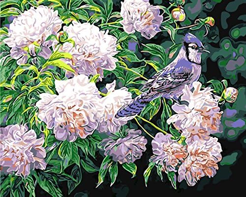 Fengtuo DIY Oil Painting Paint by Number Kit Canvas Painting Hand Colouring Decorative Picture-Birds and Fragrance of Flowers 16"X 20" - Frameless