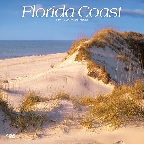 Florida Coast 2019 12 x 12 Inch Monthly Square Wall Calendar, USA United States of America Southeast State Nature (Multilingual Edition) by (Calendar)