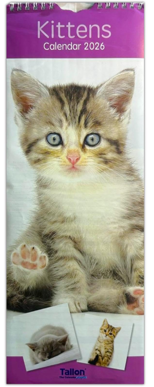 PSO 2026 Super Slim Month to View Spiral Bound Hanging Wall Calendar Home Office (Kittens)