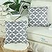 CaliTime Pack of 2 Soft Canvas Throw Pillow Covers Cases for Couch Sofa Home Decor Modern Quatrefoil Accent Geometric 18 X 18 Inches Grey