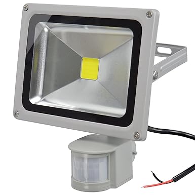 GLW 20W LED Bewegungs Sensor Fluter,12V AC oder DC im Freien IP65 Wasserdichtes Sicherheits Licht mit PIR,1800LM,6000k,Tagesl