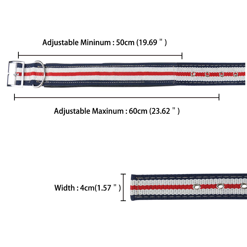 Petfu Personalised Luxury Leather Dog Collar, with Padding, Robust, Medium/Large, White