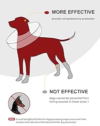 MIDOG Inflatable Dog Cone Collar Alternative After