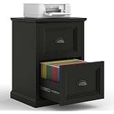 Halitaa Vertical File Cabinet with 2 Drawers for Home Office, Black | Farmhouse Filing Cabinet Fits Letter/A4 Size, Wooden Printer Stand with Storage, Small Under Desk File Cabinet