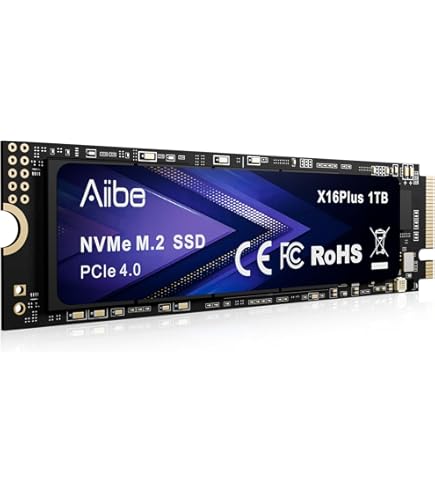 Amazon.com: fanxiang 1TB Gen5 NVMe M.2 SSD with Heatsink - Up to