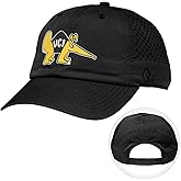 Desert Cactus UC Irvine Snapback Hat – BreezePro Performance Cap with Adjustable Strap Designed for Anteaters Fans (BP2)
