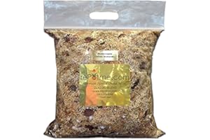 REPOTME Phalaenopsis Gold Classic Orchid Mix (Standard Bag)