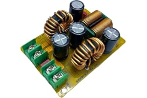 Juinrinet 1 PCS DC LC Low Pass Filter Electromagnetic Interference DC Switching Power EMC 12V 24V Car Audio Amplifier 20A