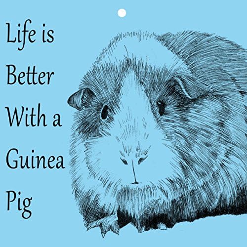 Guinea Pig (blue) metal sign life is better with a guinea pig 8x8 inceh hanging sign