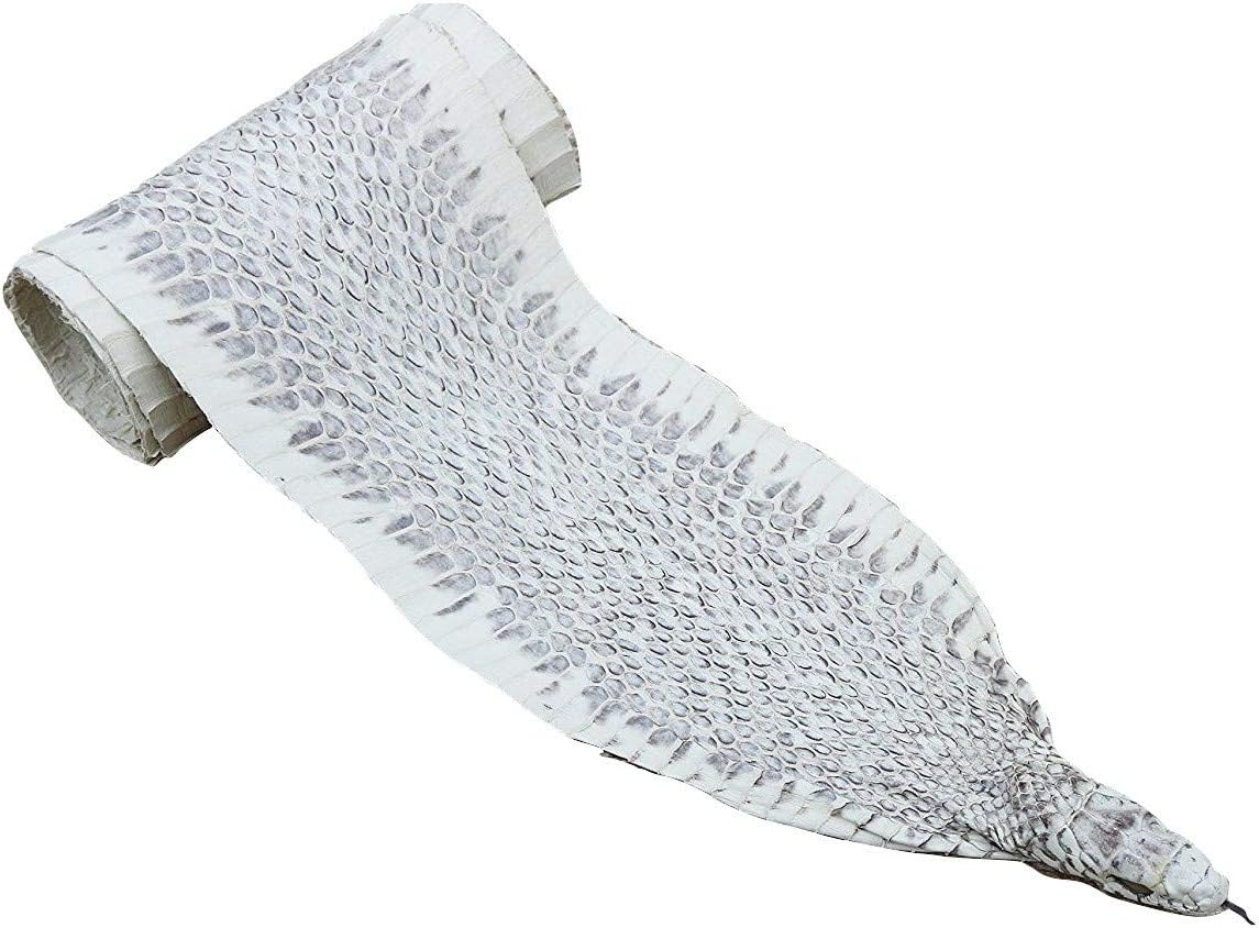 Snake Skin Asia Spitting Common Rat Snake Taxidermy Hide Leather Snakeskin with Head 7'8" Long