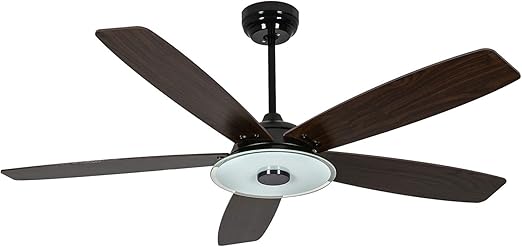 ceiling fan google assistant