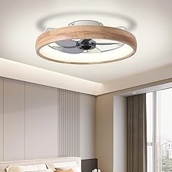 WenineStar 20” Ceiling Fan with Light, Dimmable