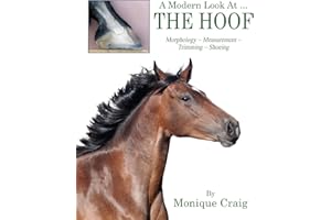 A Modern Look At ... THE HOOF: Morphology Measurement Trimming Shoeing