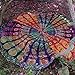 Canserin Round Tassel Tapestry Beach Towel, Bohemian Mandala Yoga Mat (Purple)