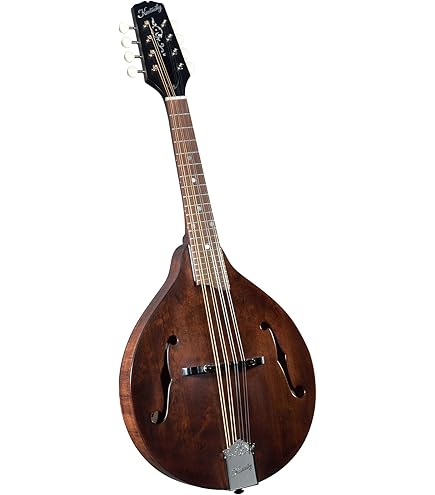 Amazon.com: Kentucky KM-250 Artist A-model Mandolin - Sunburst
