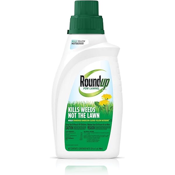 Roundup For Lawns Concentrate Southern 32oz Amazon Sg Lawn Garden