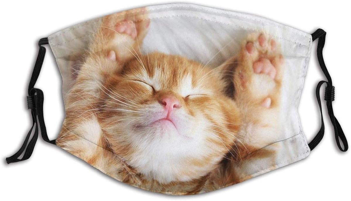Mouth Cover, Cat Sleeping Face Cover with Two Replaceable Filters for