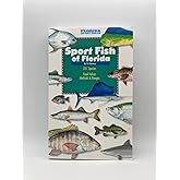 Sport Fish of Florida