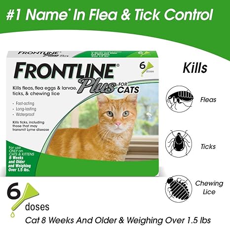 Amazon Com Frontline Plus For Cats And Kittens 1 5 Pounds And