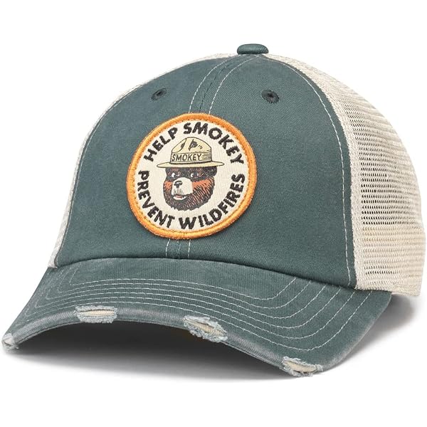American Needle Smokey Bear Floral Chintz National Park Archibald Hat Snapback Archibald Hat – California | American Needle Headwear main image 4