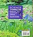 Science a Closer Look - Grade 5 - Teacher's Edition - Earth Science