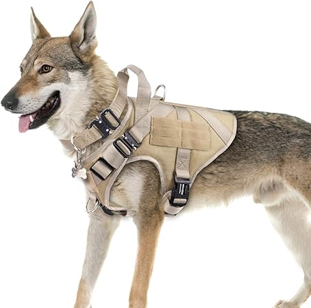 molle dog collar