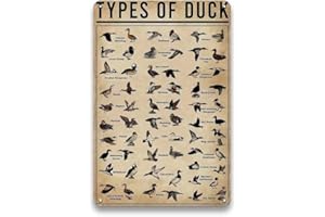 LIZATIC Types of Duck Sign - Duck Hunting Accessories, Vintage Metal Duck Decor Sign for Duck Hunting Gear, Outdoor, Kids Room Wall Decor Art, Cool Stuff Duck Hunting Gifts for Men Boys, 8 x 12 inch
