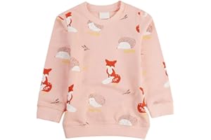 BGIRNUK Toddler Girl Sweatshirts Crewneck Cotton Long Sleeve Pullover Tops Kids Casual Outfit