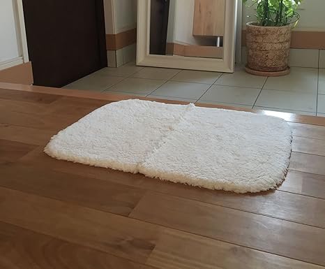 Amazon 玄関マット 室内 洗える 天然素材 コットン 綿100 茶色 ブラウン 40 60 ホワイト 玄関マット オンライン通販