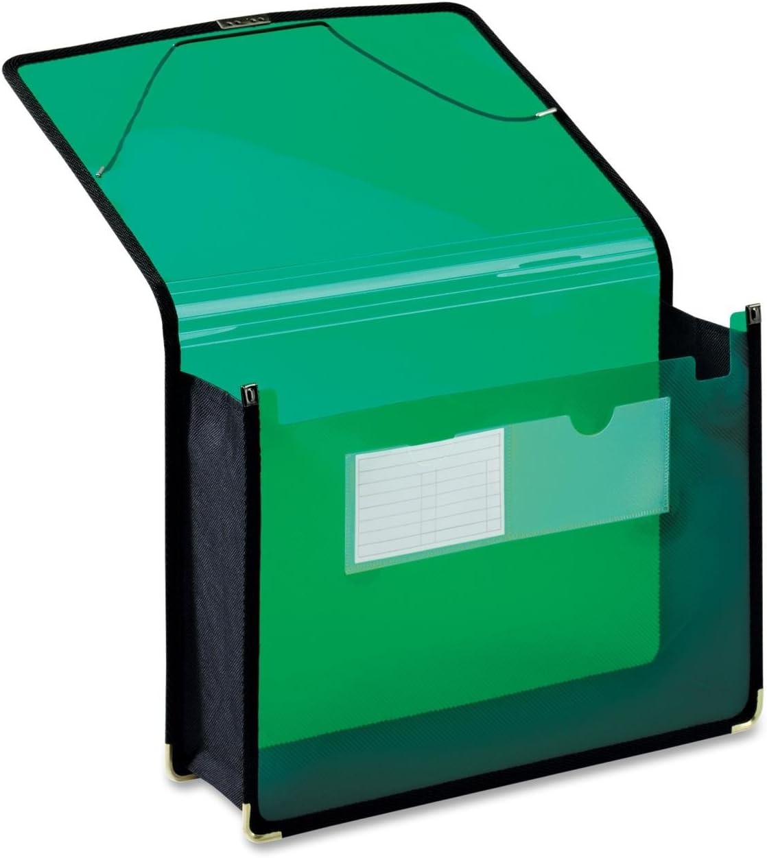 Globe-Weis/Pendaflex Poly File Wallet, 3.5-Inch Expansion, Elastic Cord Closure, Letter Size, Green (84041GR)