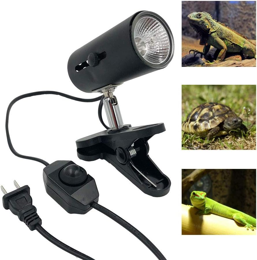 Taysing 2 Pack Clamp Lamp Fixture with 50W UVA UVB Light Bulbs Dimmable Switch E26/E27 for Reptiles,Chicken Coop,Adjustable Habitat Lighting & Heat Lamps Holder Stand (2 Pack-with Bulbs)