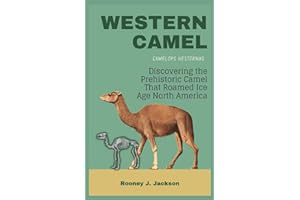WESTERN CAMEL- Camelops hesternus: Discovering the Prehistoric Camel That Roamed Ice Age North America