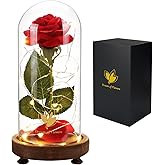 Valentines Day Gifts for Her,Birthday Gifts for Women,Beauty and The Beast Rose in Glass Dome,Silk Rose Forever Flowers with Lights,Mom Gift,Anniversary Flower Gifts for Women Gifts for Girlfriend