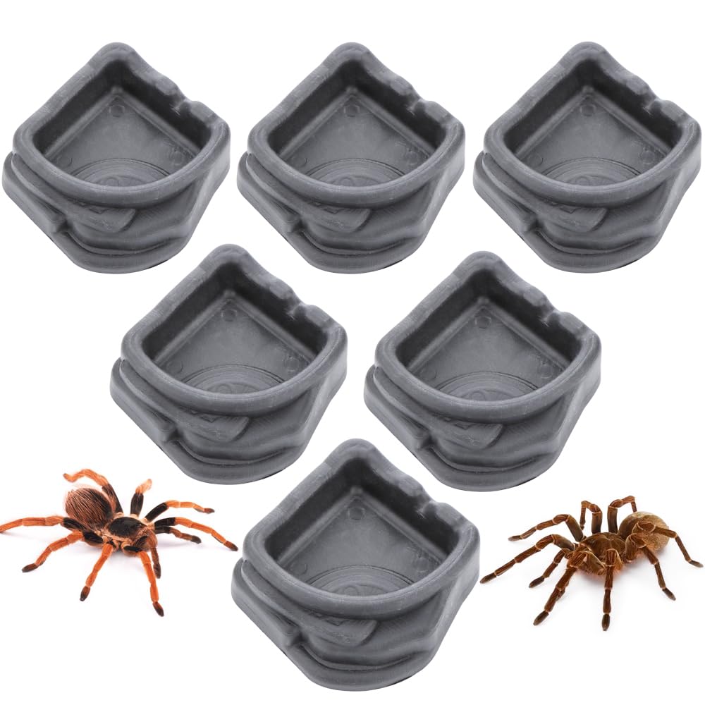 Photo 1 of 6 Pcs Spider Micro Water Bowl, Small Resin Dish for Tarantula Hermit Crab Spider Millipede Tiny Reptile (Medium: 1.65" D, 0.59" H)