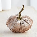 Luxe Champagne Small Velvet Pumpkin, Handmade Home