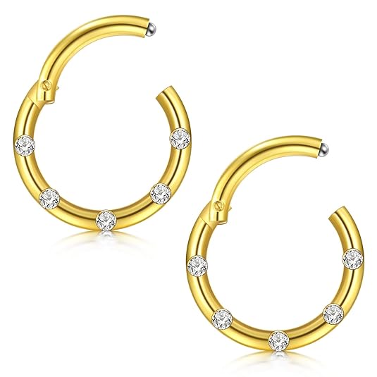 Crdifu 2stk Segment Nasenpiercing Nasenring Clicker Set Chirurgenstahl 16G Nase Lippe Tragus Cartilage Piercing Ring Schmuck
